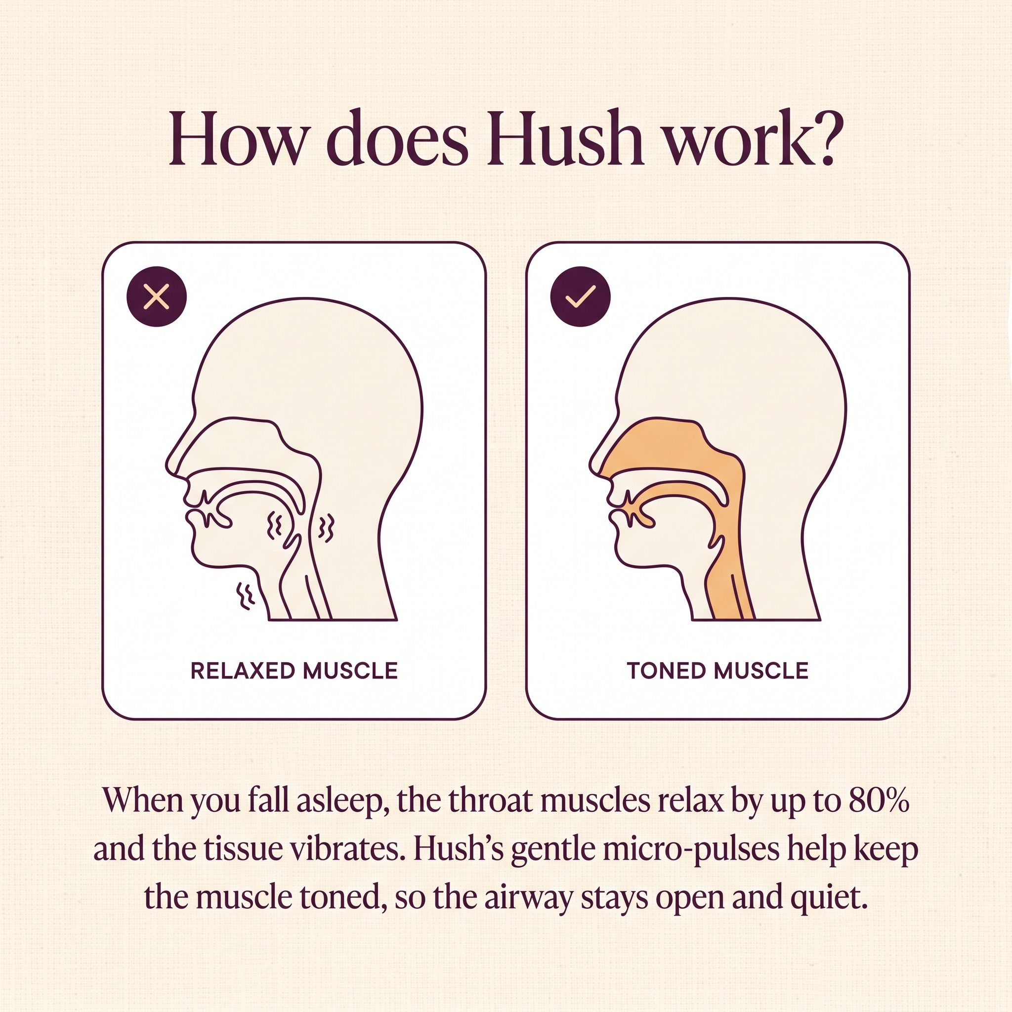 How does Hush work